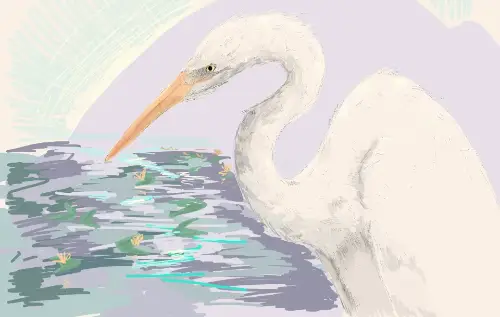 A sketch by Kew
